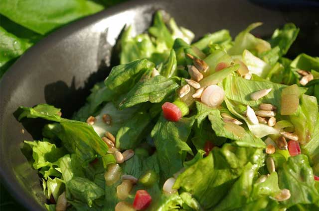 rhubarb salad